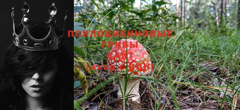 Галлюциногенные грибы Magic Shrooms  купить наркотики сайты  Великие Луки 